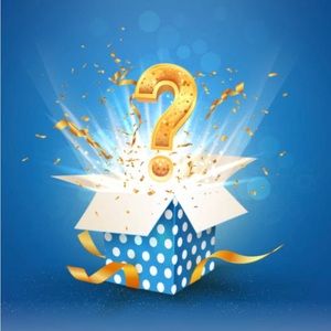 Women’s Mystery Box Career, Casual, Dress XL 16